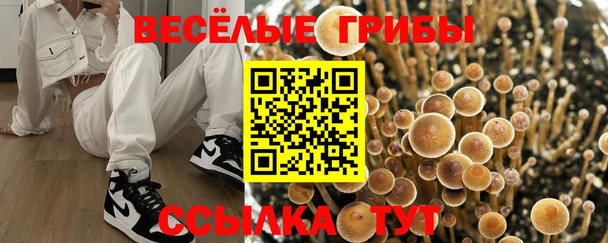 Гатчина  Галлюциногенные грибы Magic Shrooms  Псилоцибиновые грибы GOLDEN TEACHER  Вход с VPN 