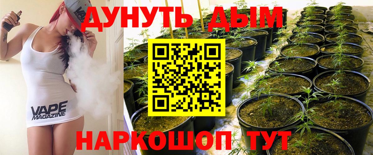Конопля планчик Гатчина